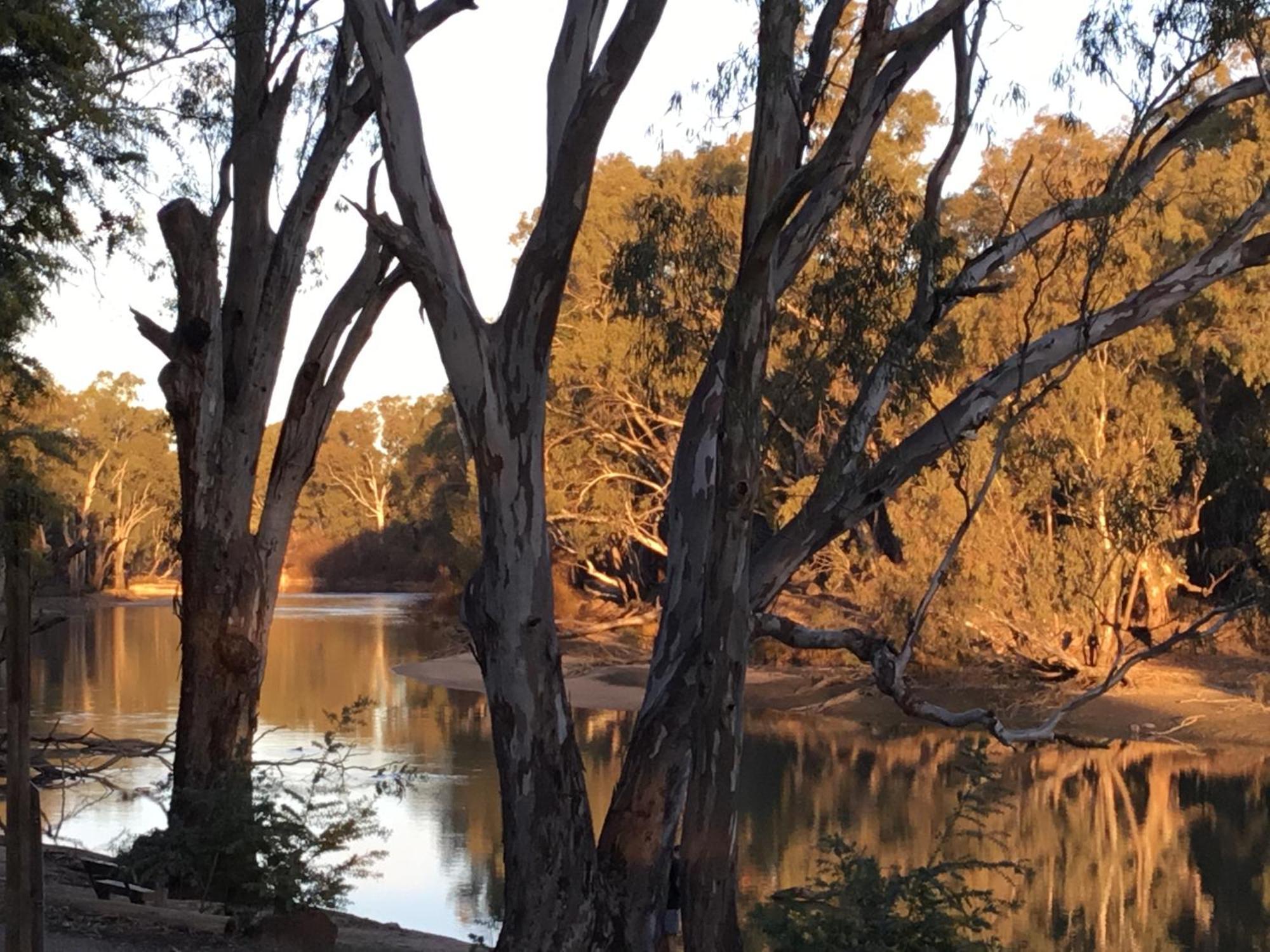 Deniliquin Riverside Caravan Park Extérieur photo