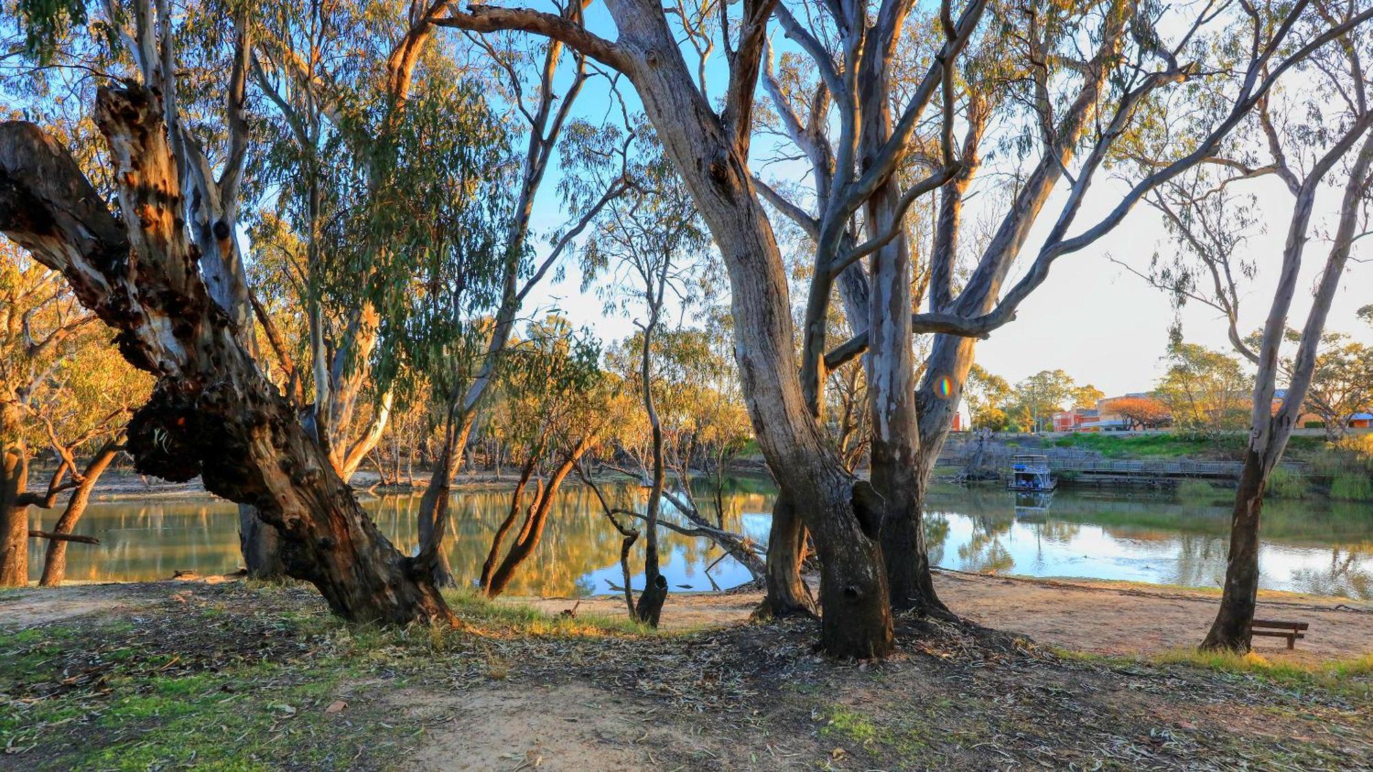 Deniliquin Riverside Caravan Park Extérieur photo